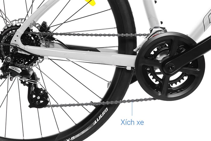 Xe đạp đường phố Touring Giant ESCAPE 2 DISC 29 inch Size S