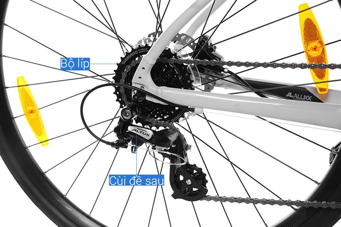 Xe đạp đường phố Touring Giant ESCAPE 2 DISC 29 inch Size S