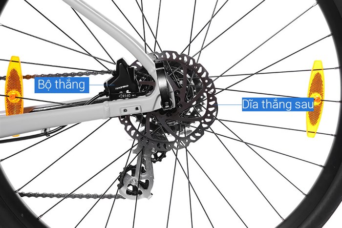 Xe đạp đường phố Touring Giant ESCAPE 2 DISC 29 inch Size S