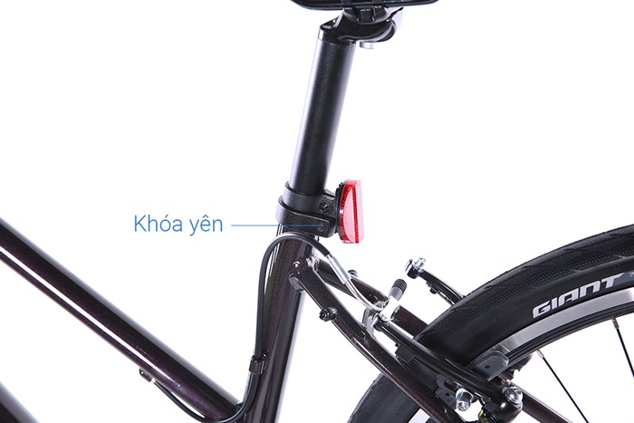 Xe đạp đường phố Touring Giant LIV ALIGHT 3 29 inch Size S