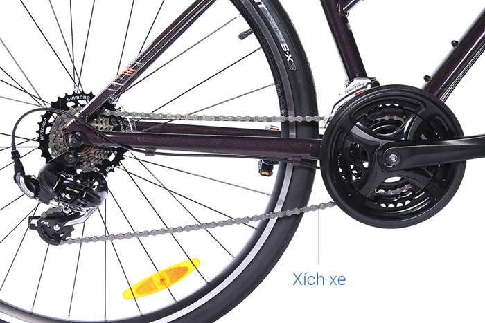 Xe đạp đường phố Touring Giant LIV ALIGHT 3 29 inch Size S