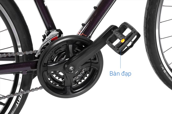 Xe đạp đường phố Touring Giant LIV ALIGHT 3 29 inch Size S