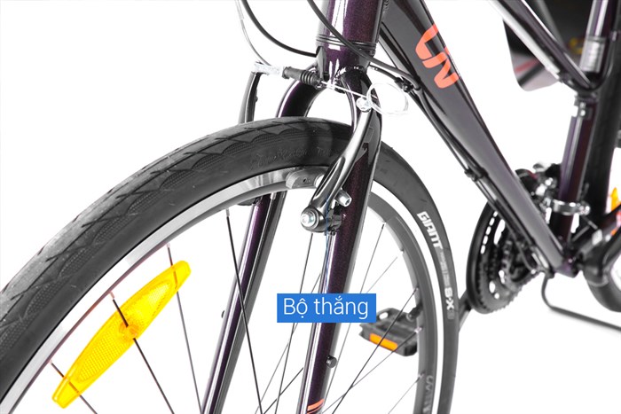 Xe đạp đường phố Touring Giant LIV ALIGHT 3 29 inch Size S