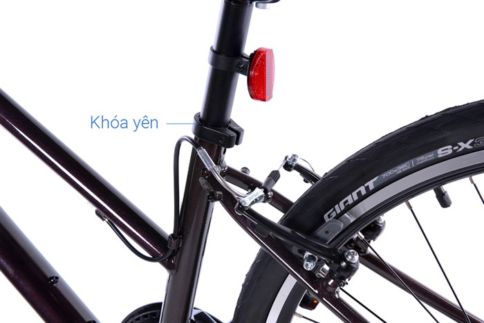 Xe đạp đường phố Touring Giant LIV ALIGHT 3 29 inch Size XS