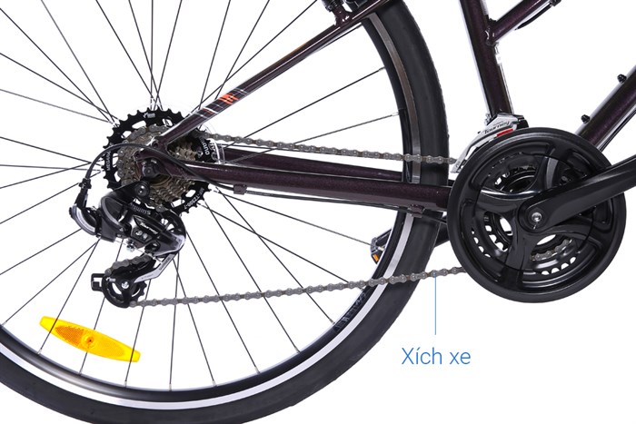 Xe đạp đường phố Touring Giant LIV ALIGHT 3 29 inch Size XS