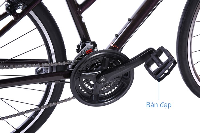 Xe đạp đường phố Touring Giant LIV ALIGHT 3 29 inch Size XS