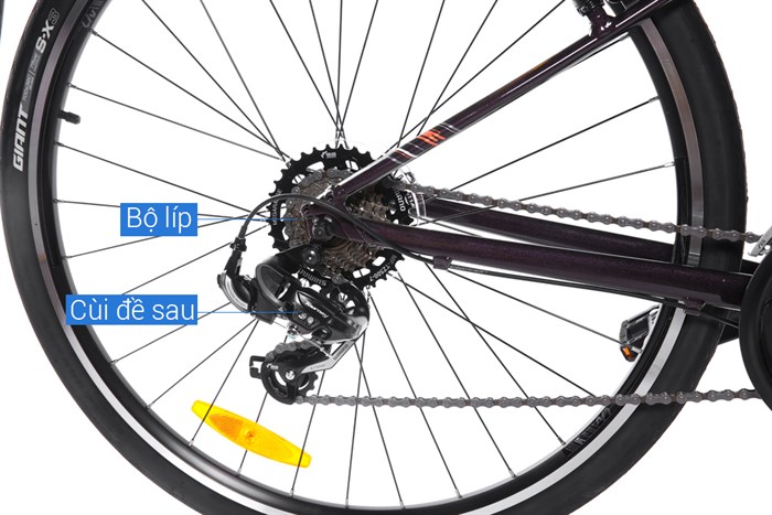 Xe đạp đường phố Touring Giant LIV ALIGHT 3 29 inch Size XS