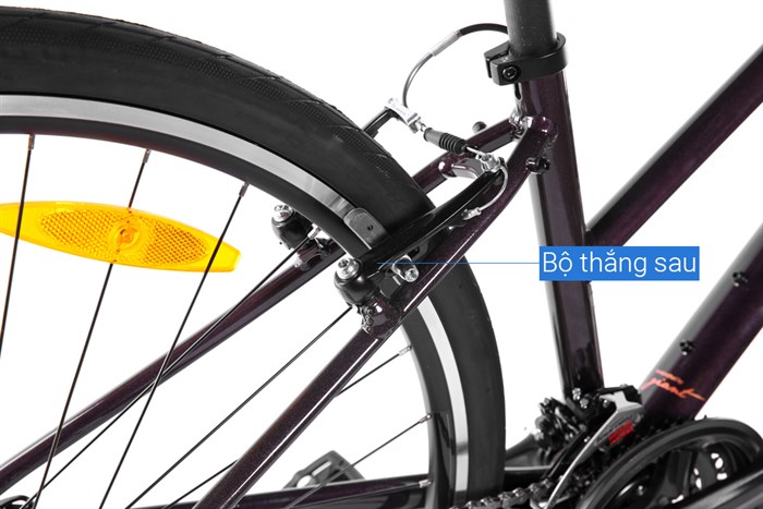 Xe đạp đường phố Touring Giant LIV ALIGHT 3 29 inch Size XS