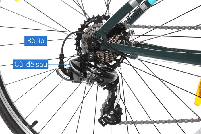 Xe đạp đường phố City Giant LIV FLOURISH 4 CITY 29 inch Size S