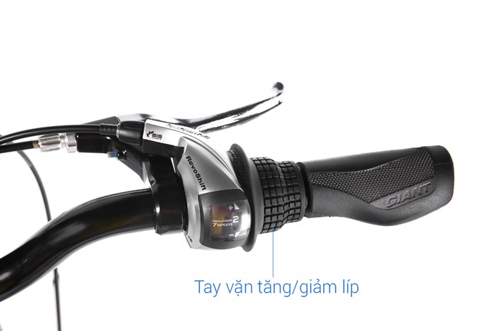 Xe đạp đường phố City Giant LIV FLOURISH 4 CITY 29 inch Size S