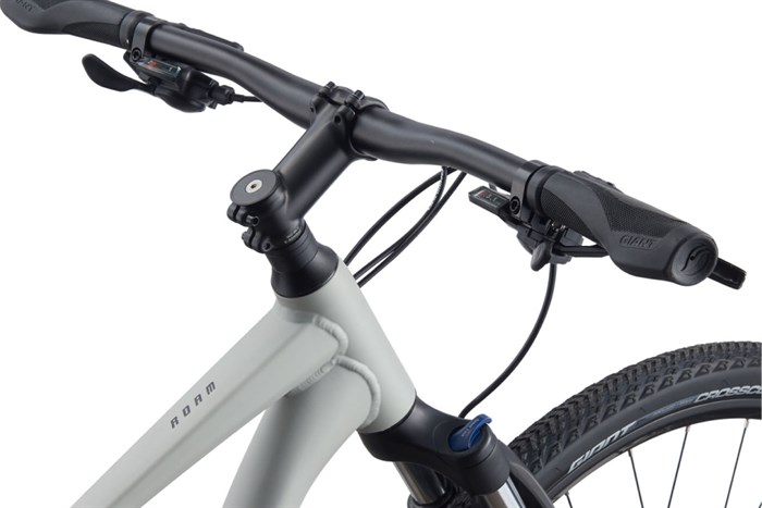 Xe đạp địa hình MTB Giant ROAM 3 DISC 29 inch Size S