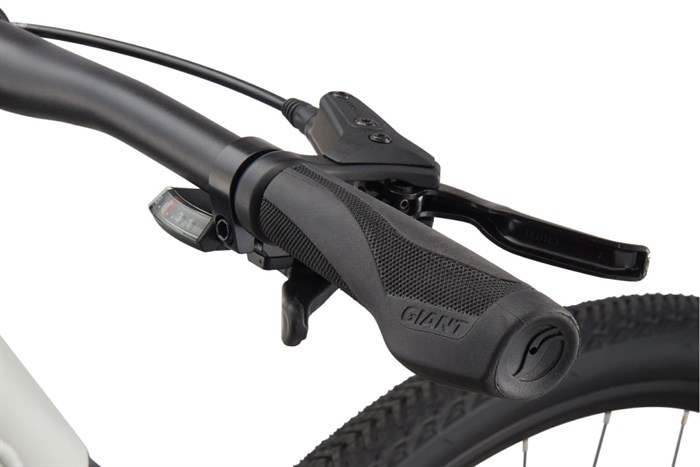 Xe đạp địa hình MTB Giant ROAM 3 DISC 29 inch Size S