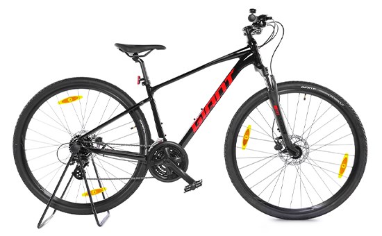 Xe đạp địa hình MTB Giant ROAM 4 DISC 29 inch Size S