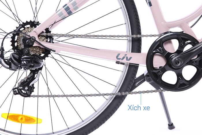 Xe đạp đường phố City Giant LIV FLOURISH 4 CITY 29 inch Size XS