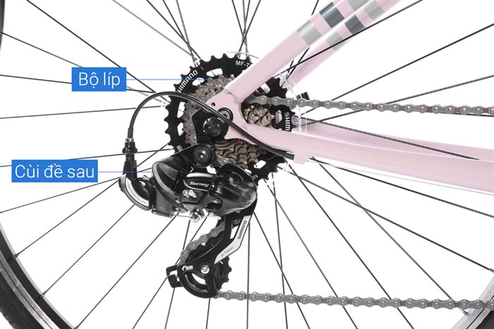 Xe đạp đường phố City Giant LIV FLOURISH 4 CITY 29 inch Size XS