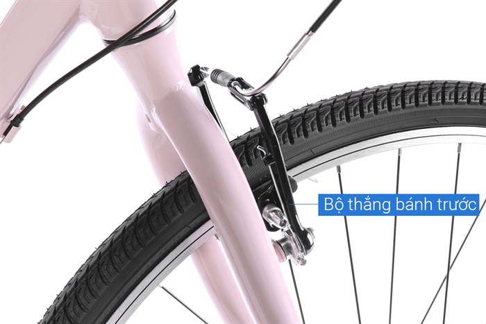 Xe đạp đường phố City Giant LIV FLOURISH 4 CITY 29 inch Size XS