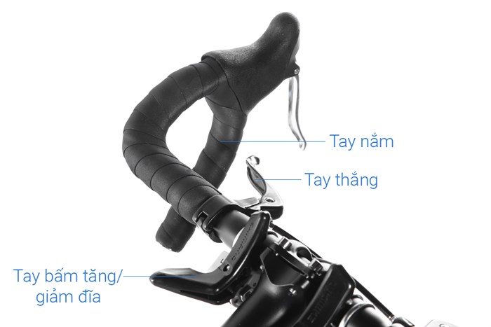 Xe Đạp Thể Thao Road Life 700C 33SP 27.5 inch