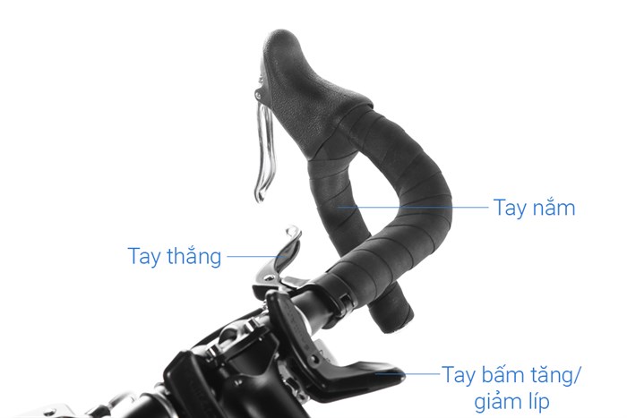 Xe Đạp Thể Thao Road Life 700C 33SP 27.5 inch