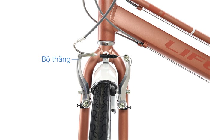 Xe Đạp Đường Phố City Life 26 Beauty 26 inch