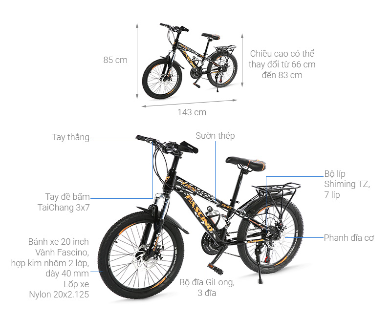 Xe Đạp Trẻ Em Fascino FS-02 20 inch