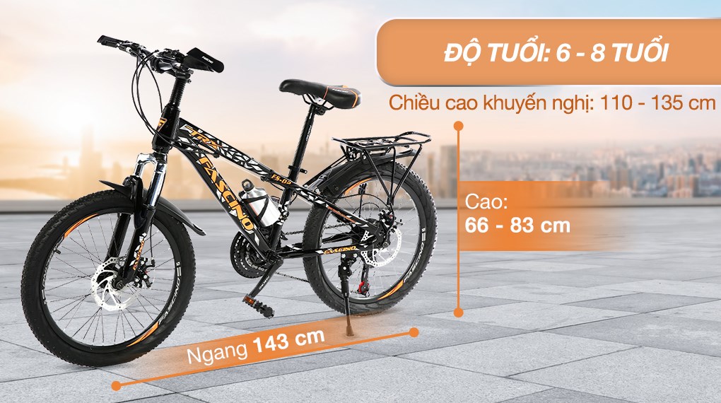 Xe Đạp Trẻ Em Fascino FS-02 20 inch