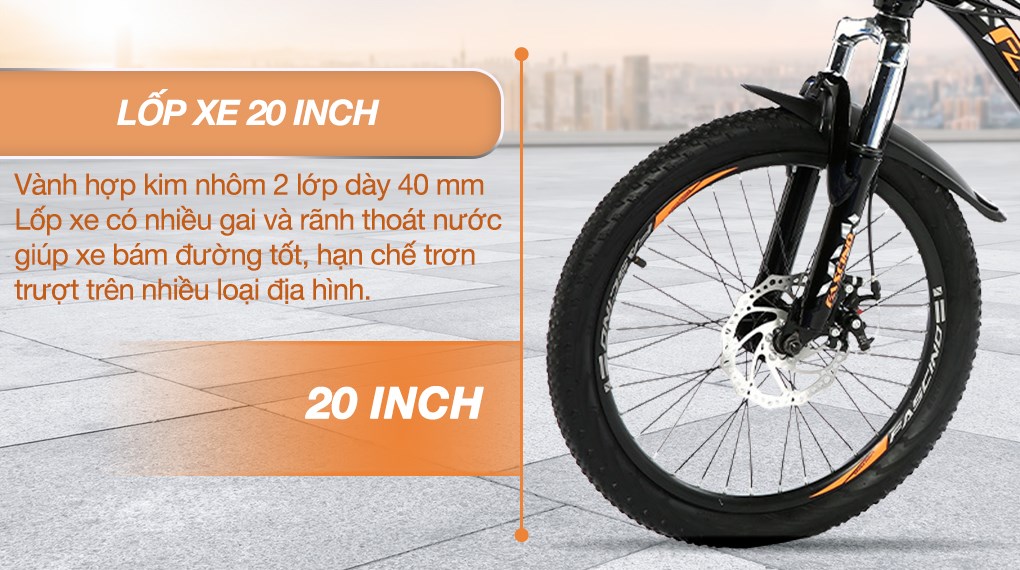 Xe Đạp Trẻ Em Fascino FS-02 20 inch