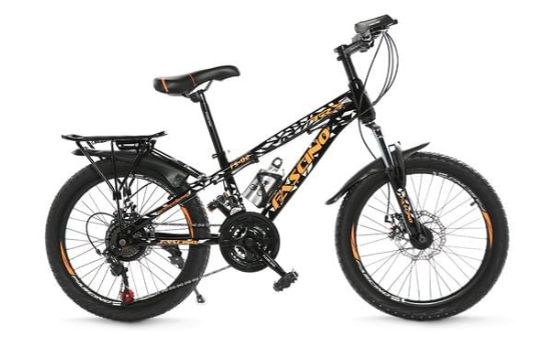 Xe Đạp Trẻ Em Fascino FS-02 20 inch