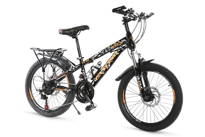 Xe Đạp Trẻ Em Fascino FS-02 20 inch Màu Đen - Cam