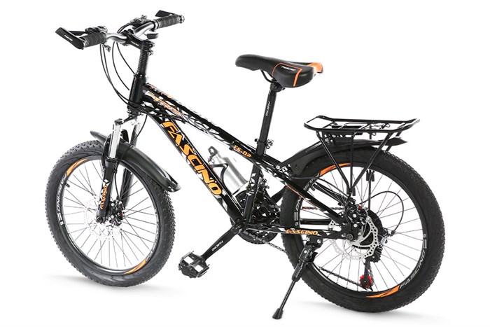 Xe Đạp Trẻ Em Fascino FS-02 20 inch Màu Đen - Cam