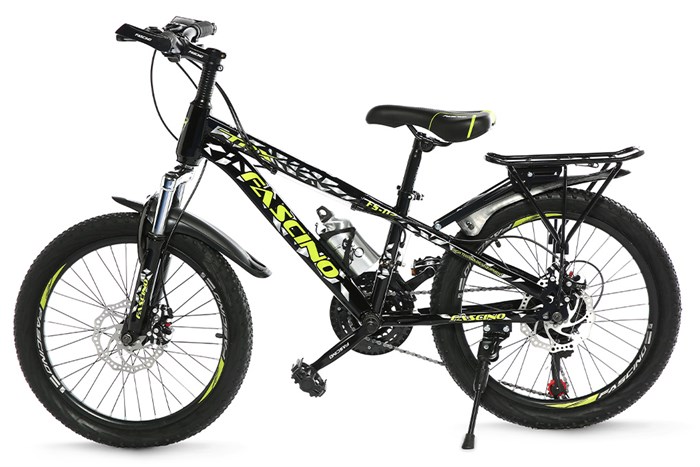 Xe Đạp Trẻ Em Fascino FS-02 20 inch Màu Đen - Xanh lá