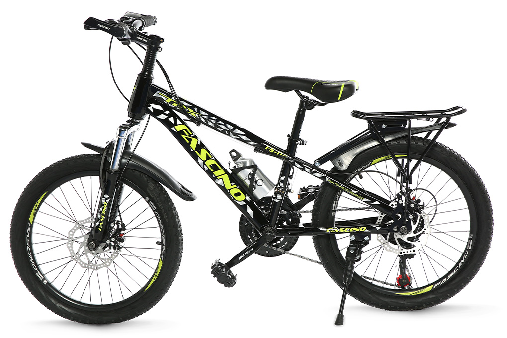 Xe Đạp Trẻ Em Fascino FS-02 20 inch Màu Đen - Xanh lá