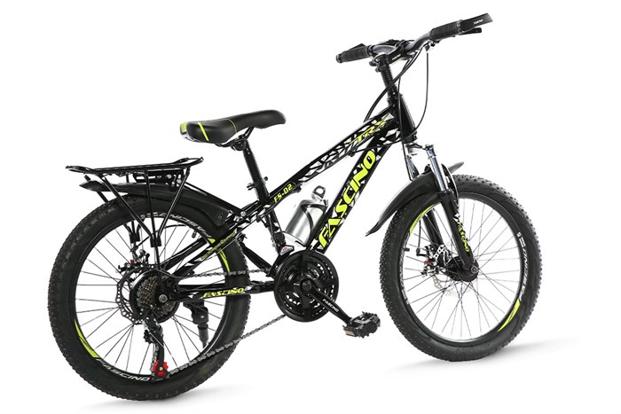 Xe Đạp Trẻ Em Fascino FS-02 20 inch Màu Đen - Xanh lá