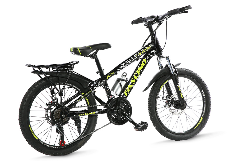Xe Đạp Trẻ Em Fascino FS-02 20 inch Màu Đen - Xanh lá