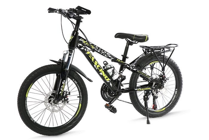 Xe Đạp Trẻ Em Fascino FS-02 20 inch Màu Đen - Xanh lá