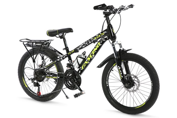 Xe Đạp Trẻ Em Fascino FS-02 20 inch Màu Đen - Xanh lá