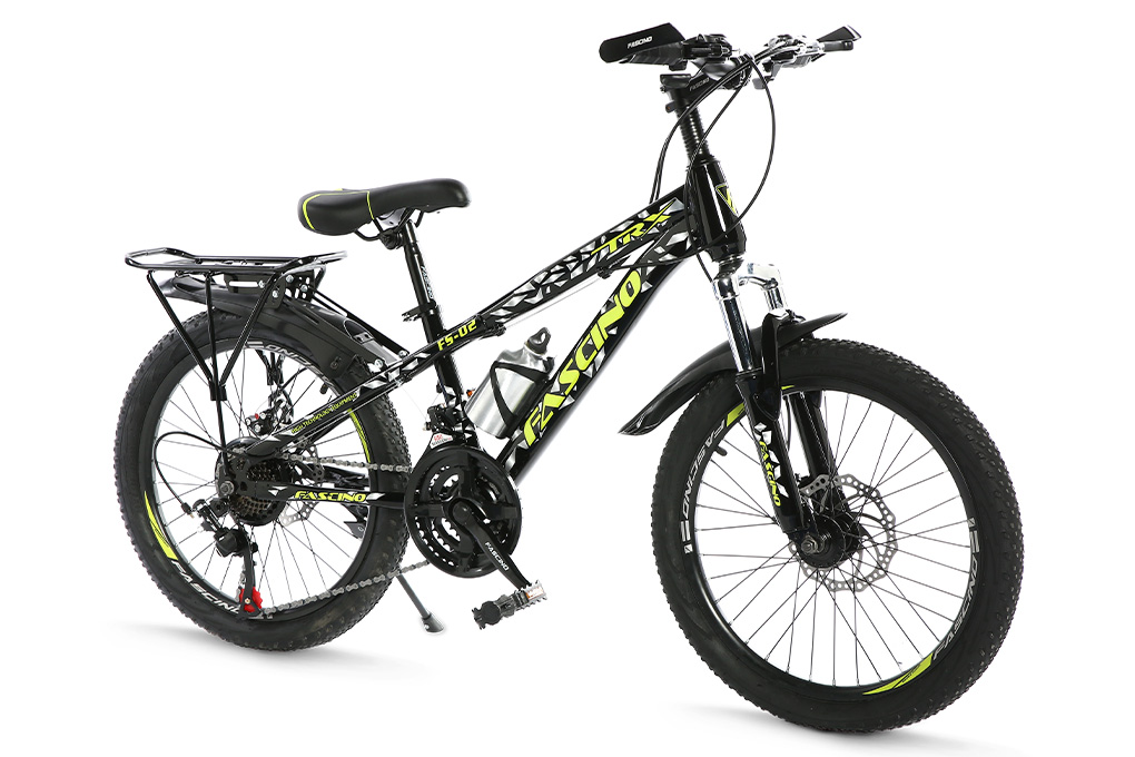 Xe Đạp Trẻ Em Fascino FS-02 20 inch Màu Đen - Xanh lá
