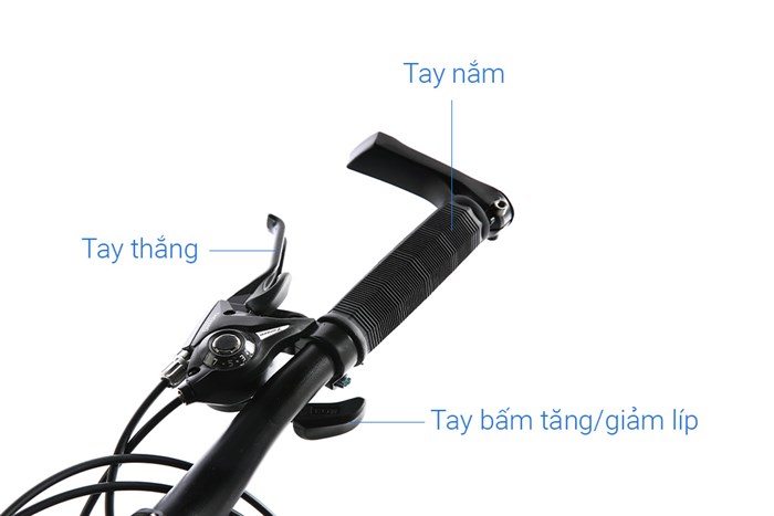Xe Đạp Trẻ Em Fascino FS-02 20 inch Màu Đen - Xanh lá