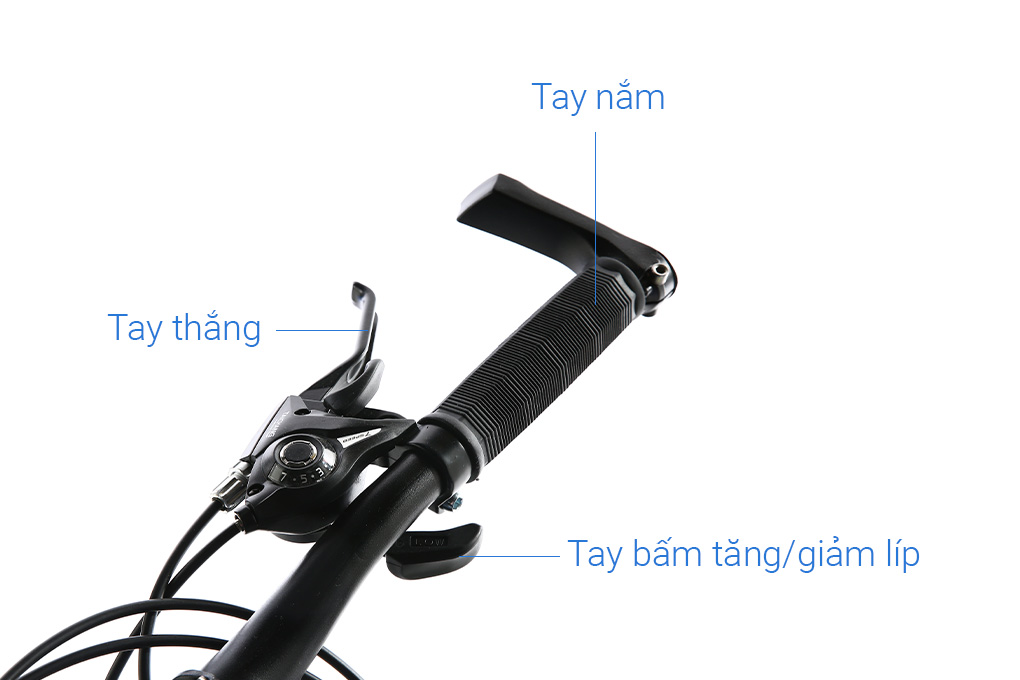 Xe Đạp Trẻ Em Fascino FS-02 20 inch Màu Đen - Xanh lá