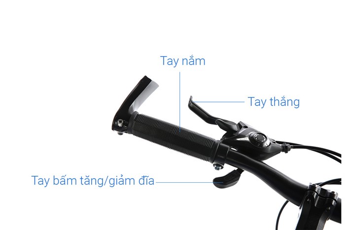 Xe Đạp Trẻ Em Fascino FS-02 20 inch Màu Đen - Xanh lá