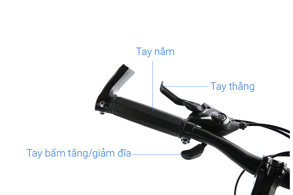 Xe Đạp Trẻ Em Fascino FS-02 20 inch Màu Đen - Xanh lá