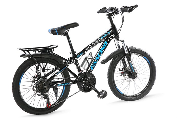 Xe Đạp Trẻ Em Fascino FS-02 20 inch Màu Đen - xanh dương