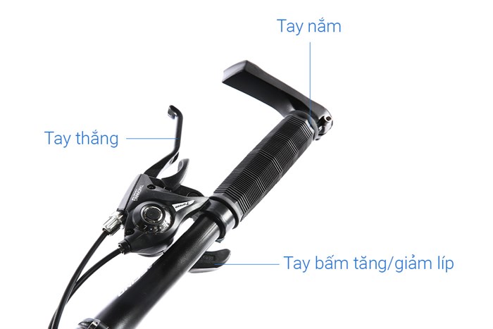 Xe Đạp Trẻ Em Fascino FS-02 20 inch Màu Đen - xanh dương