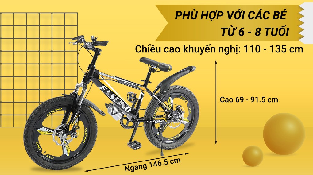 Xe Đạp Trẻ Em Fascino FS-04 20 inch