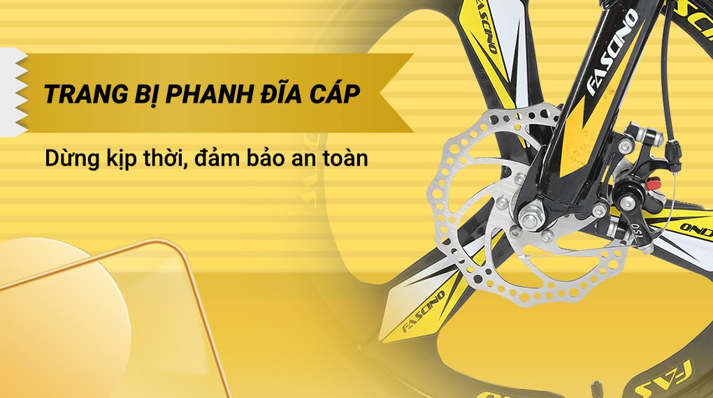 Xe Đạp Trẻ Em Fascino FS-04 20 inch