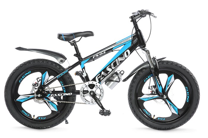 Xe Đạp Trẻ Em Fascino FS-04 20 inch Màu Xanh Dương