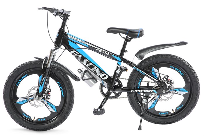 Xe Đạp Trẻ Em Fascino FS-04 20 inch Màu Xanh Dương