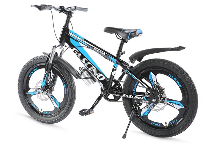 Xe Đạp Trẻ Em Fascino FS-04 20 inch Màu Xanh Dương