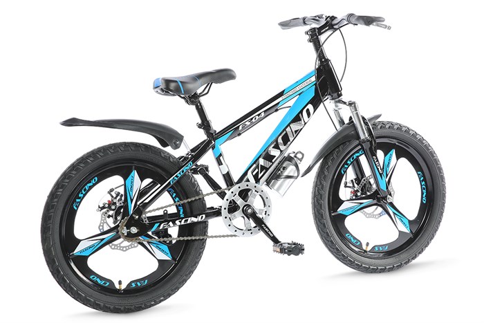Xe Đạp Trẻ Em Fascino FS-04 20 inch Màu Xanh Dương