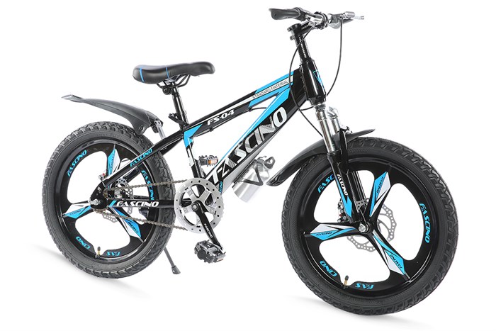 Xe Đạp Trẻ Em Fascino FS-04 20 inch Màu Xanh Dương