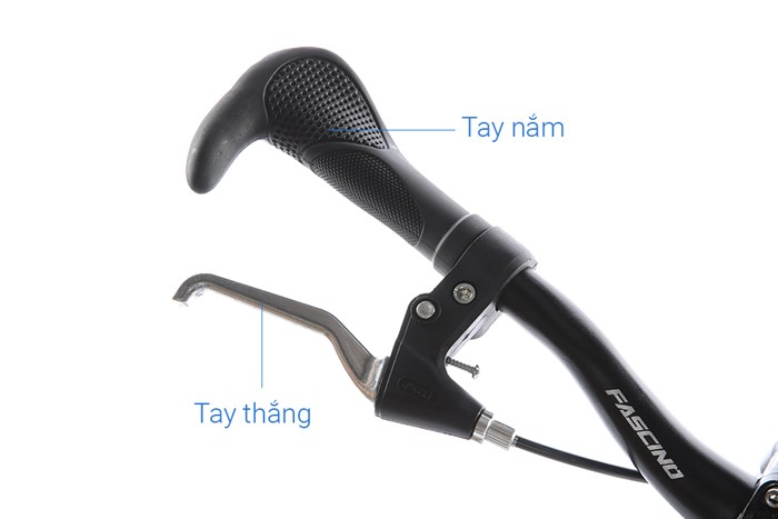 Xe Đạp Trẻ Em Fascino FS-04 20 inch Màu Xanh Dương